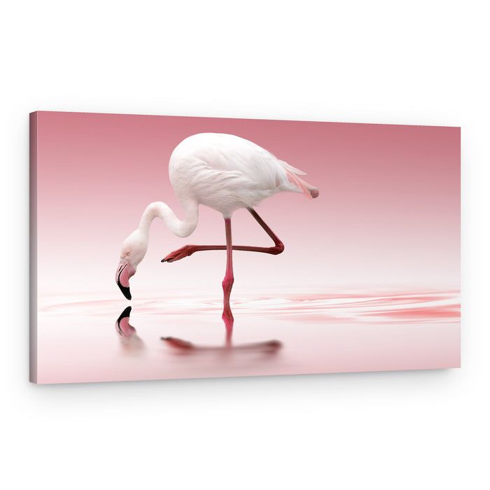 Pink Flamingo Reflection – Canvas Print