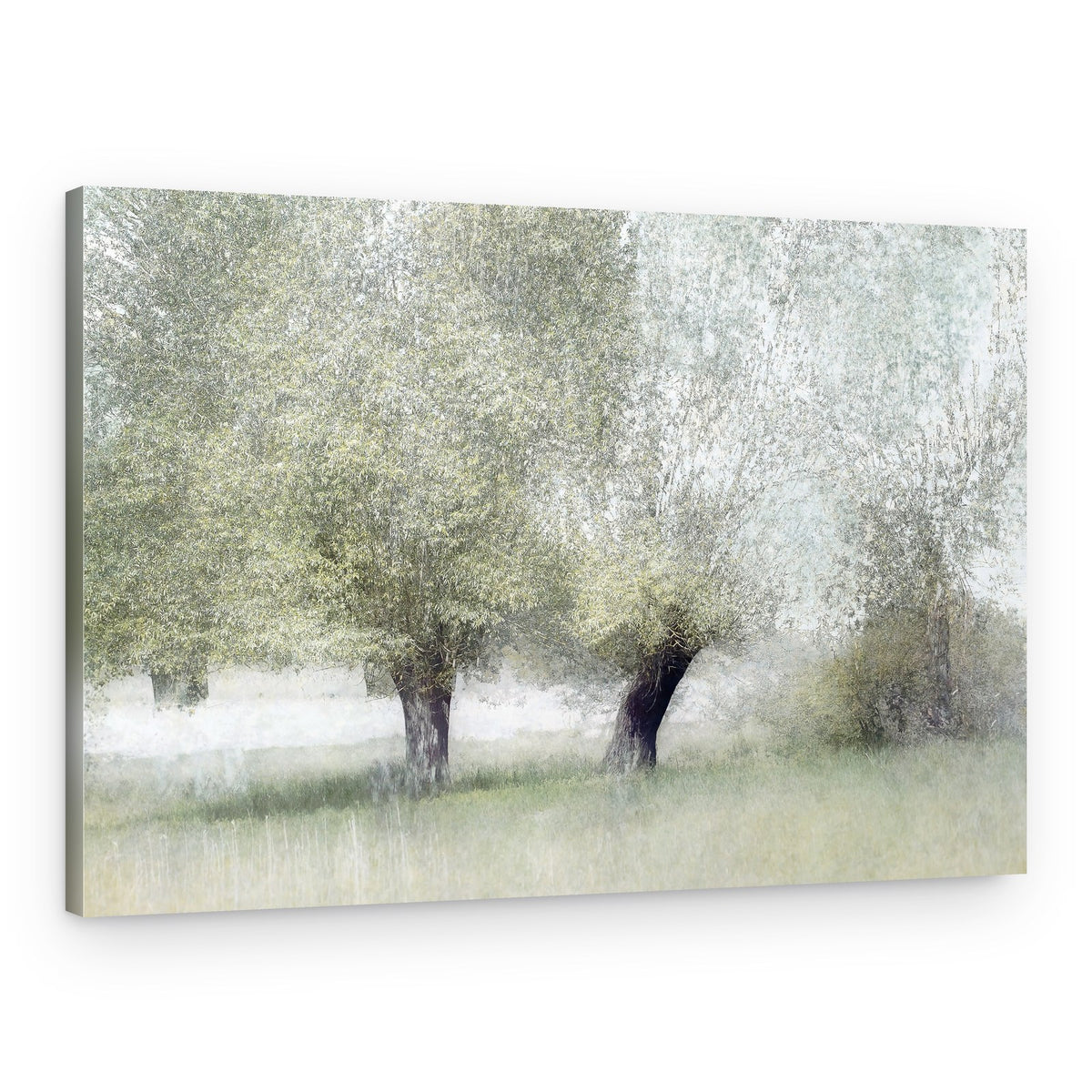 Young green – Canvas Print