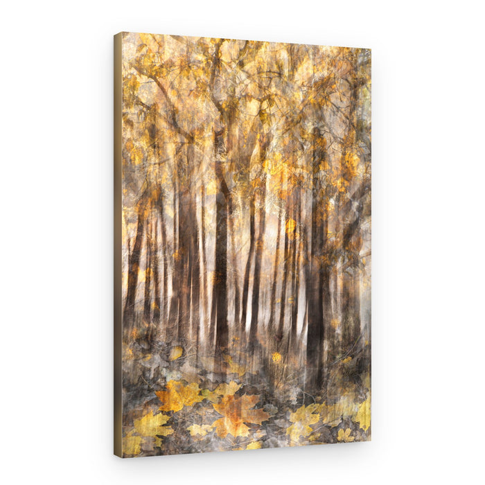 Golden Autumn Forest – Canvas Print