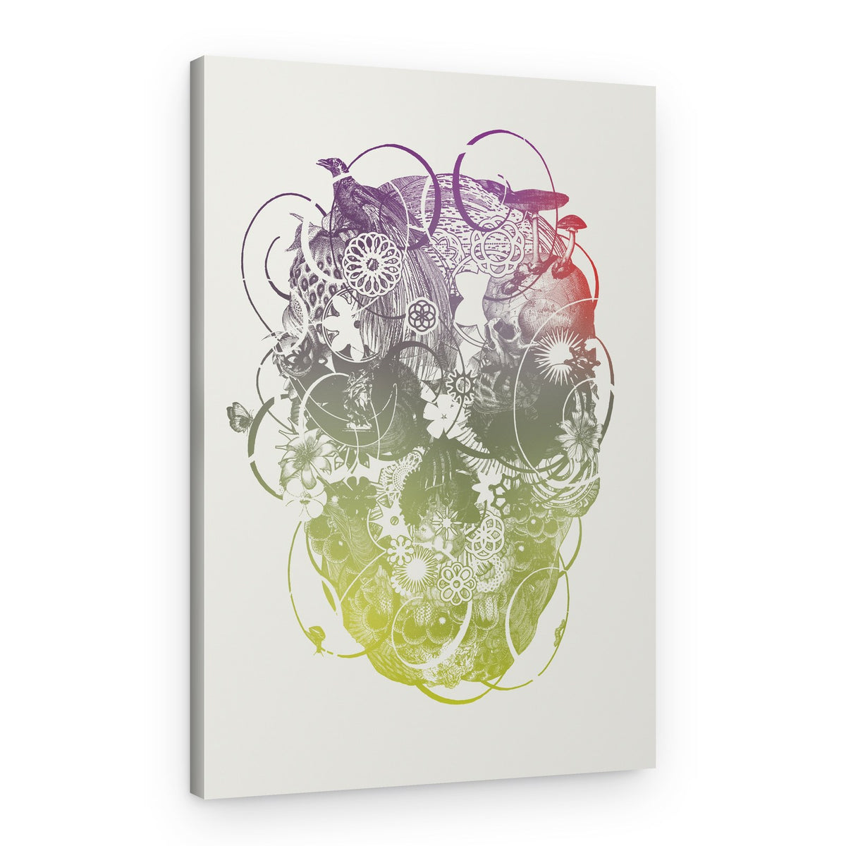 Intricate Gradient Skull – Canvas Print