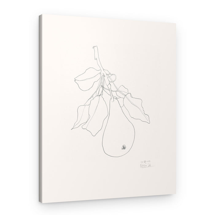 Delicate Pear Drawing – Canvas Print
