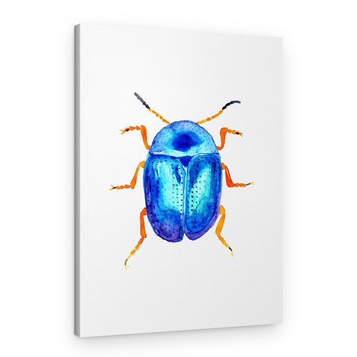 Blue Leaf Car Or Colaphus Sophiae – Canvas Print
