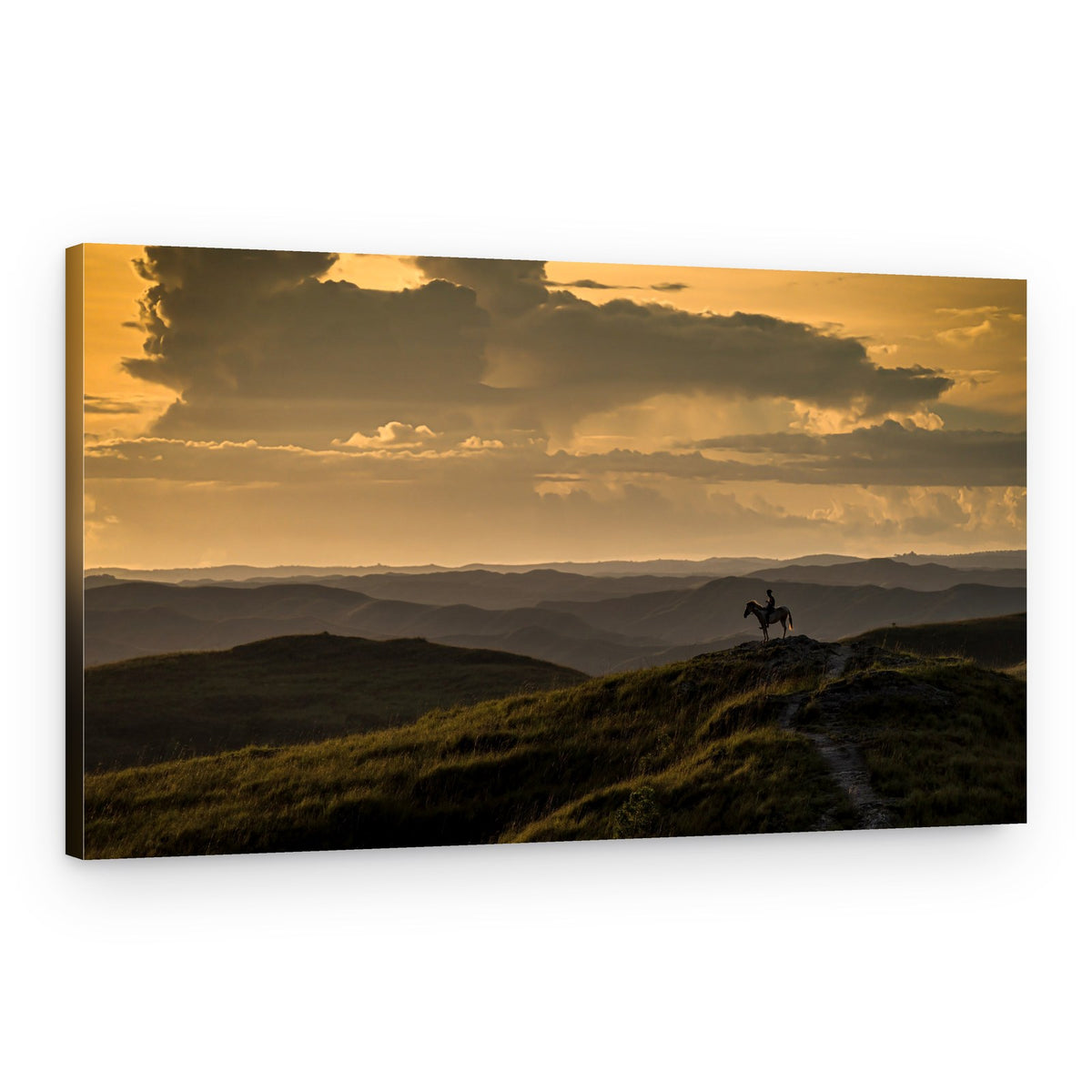 Lone Rider Golden Sunset – Canvas Print