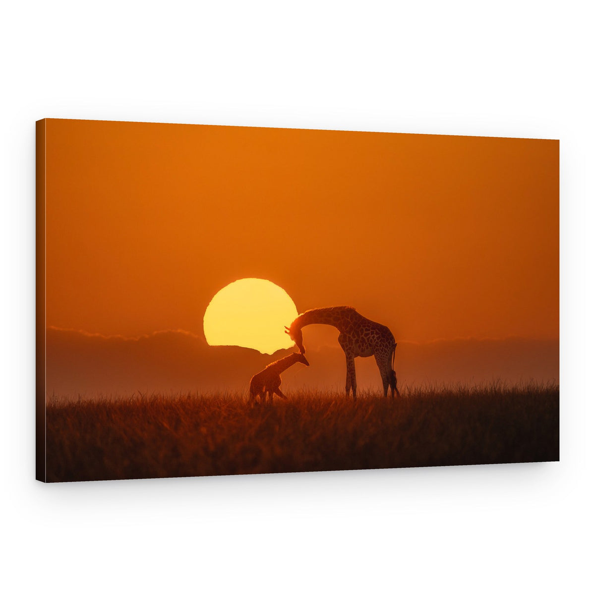Mother Baby Giraffe Sunset – Canvas Print