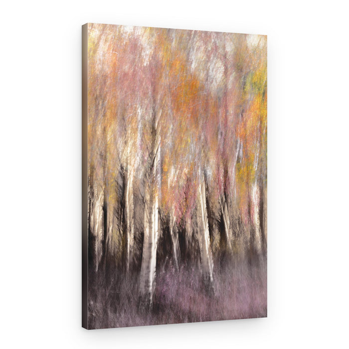 Autumn Birch Abstract – Canvas Print