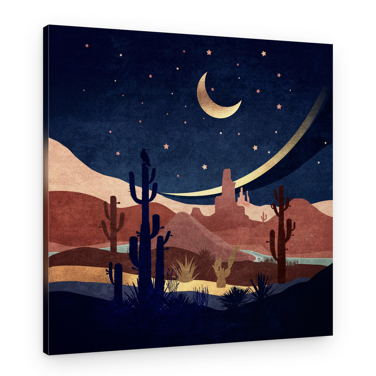 Desert Nightscape – Canvas Print