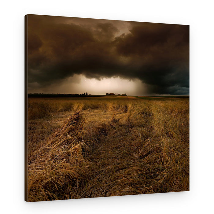 Storm Over Golden Fields – Canvas Print