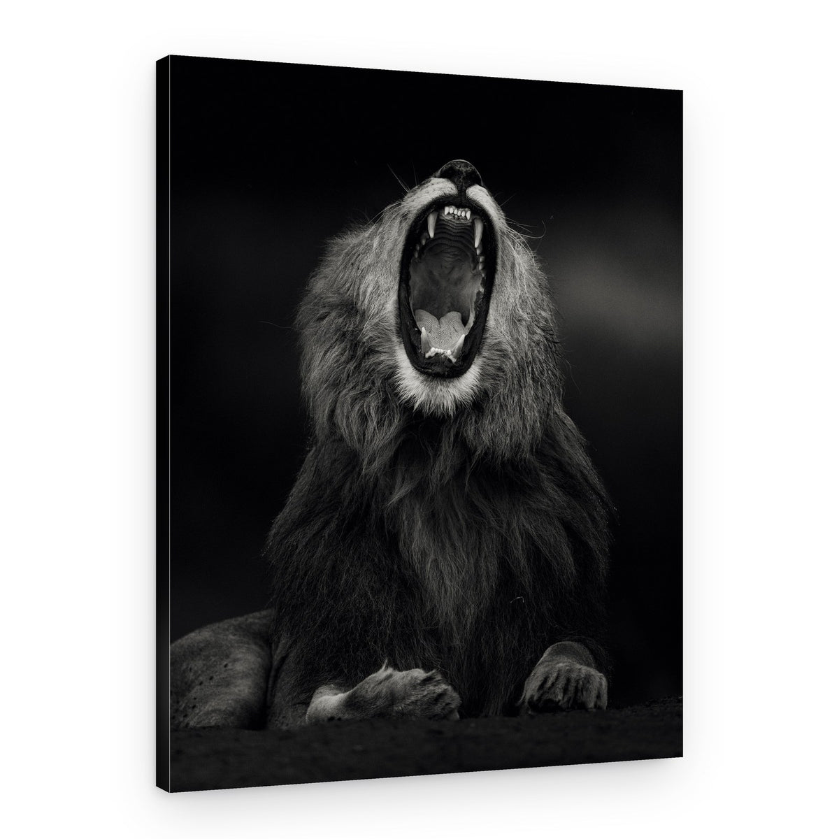 Majestic Lion Roars – Canvas Print