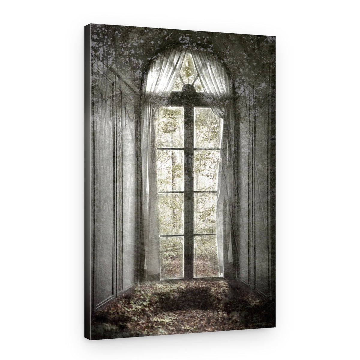 Forgotten Forest Window – Canvas Print