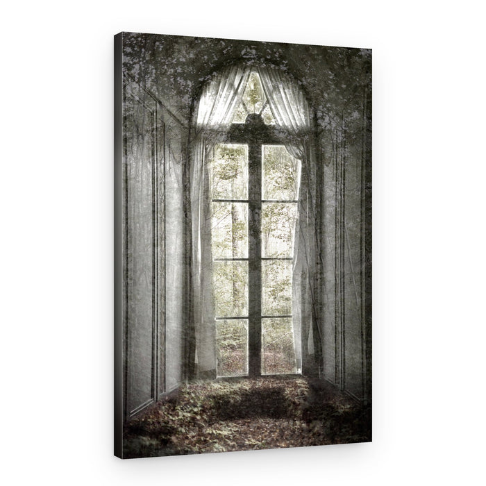 Forgotten Forest Window – Canvas Print