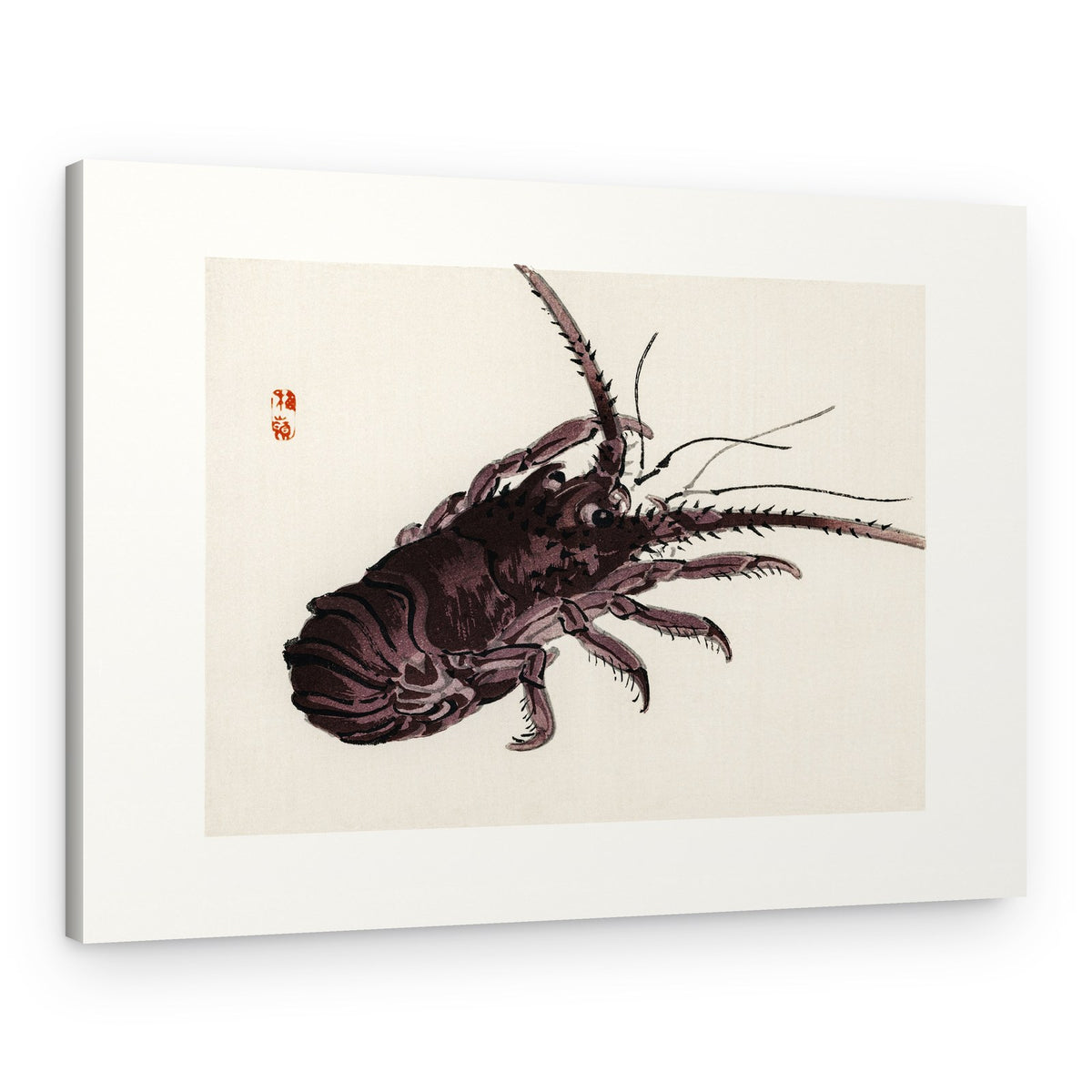 Crayfish – Canvas Print