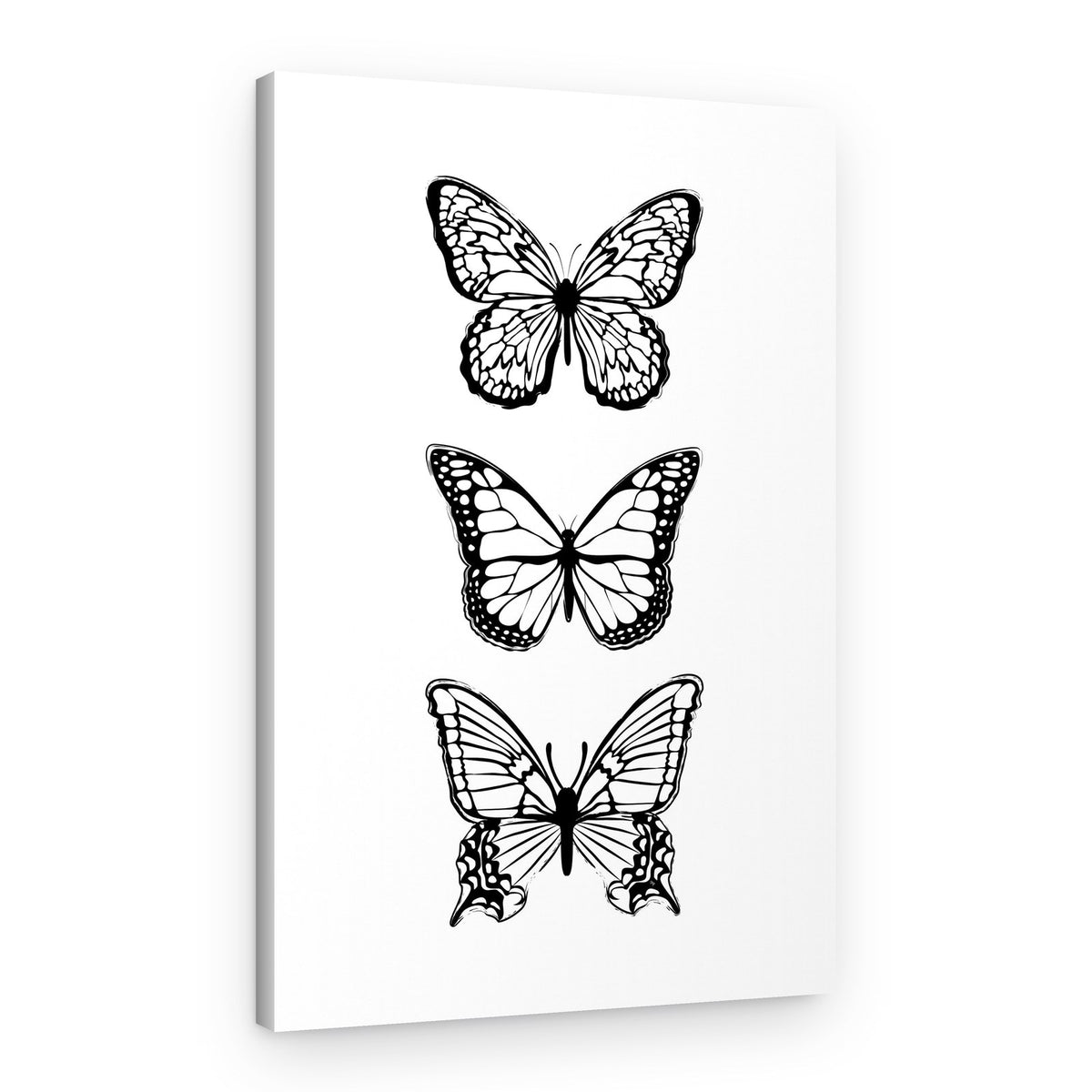 Three Delicate Butterflies – Canvas Print