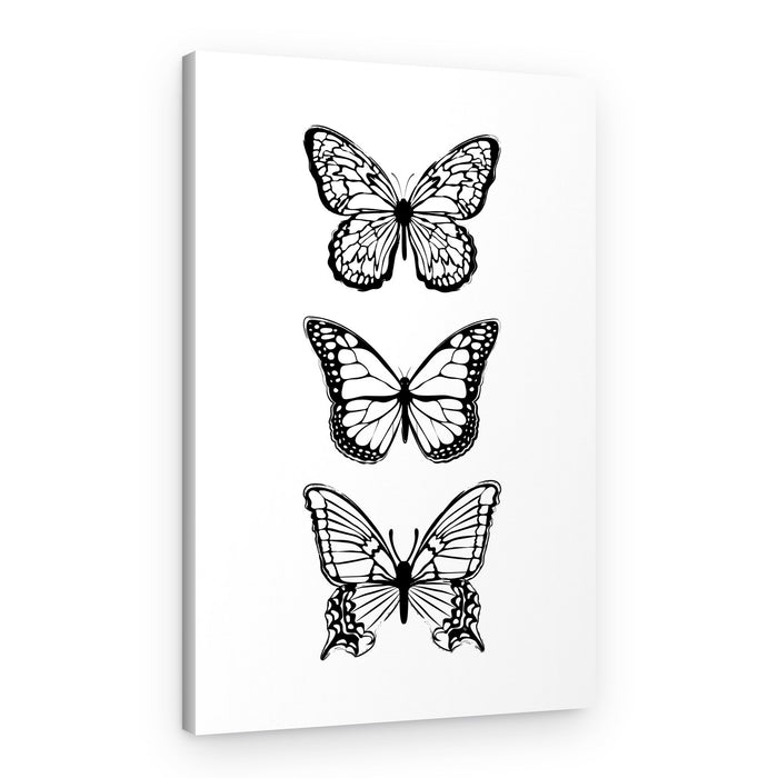 Three Delicate Butterflies – Canvas Print