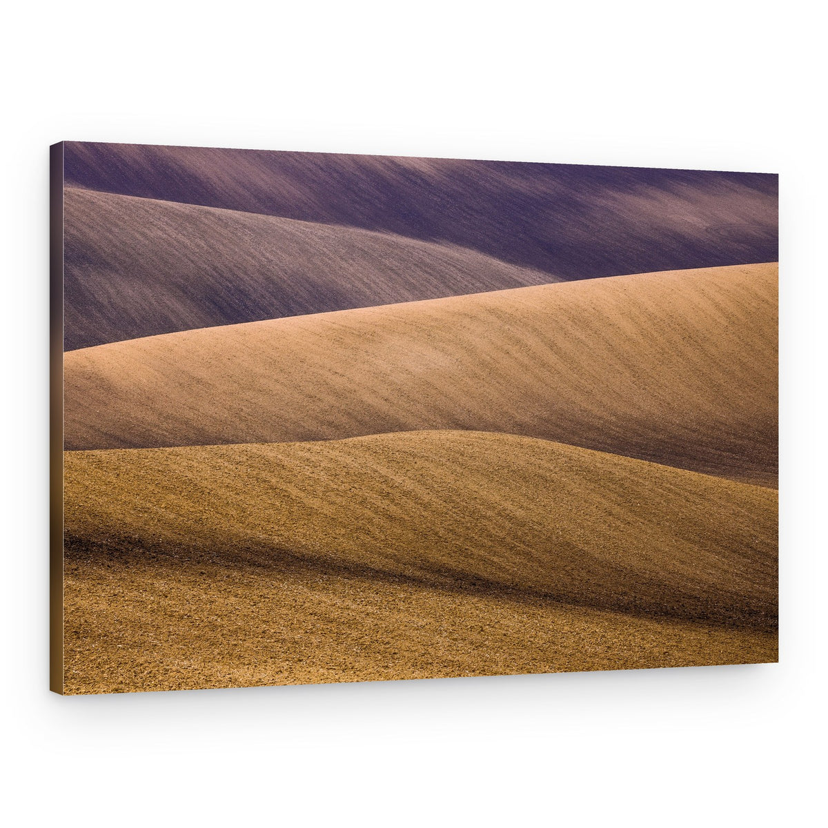Rolling Field Patterns – Canvas Print