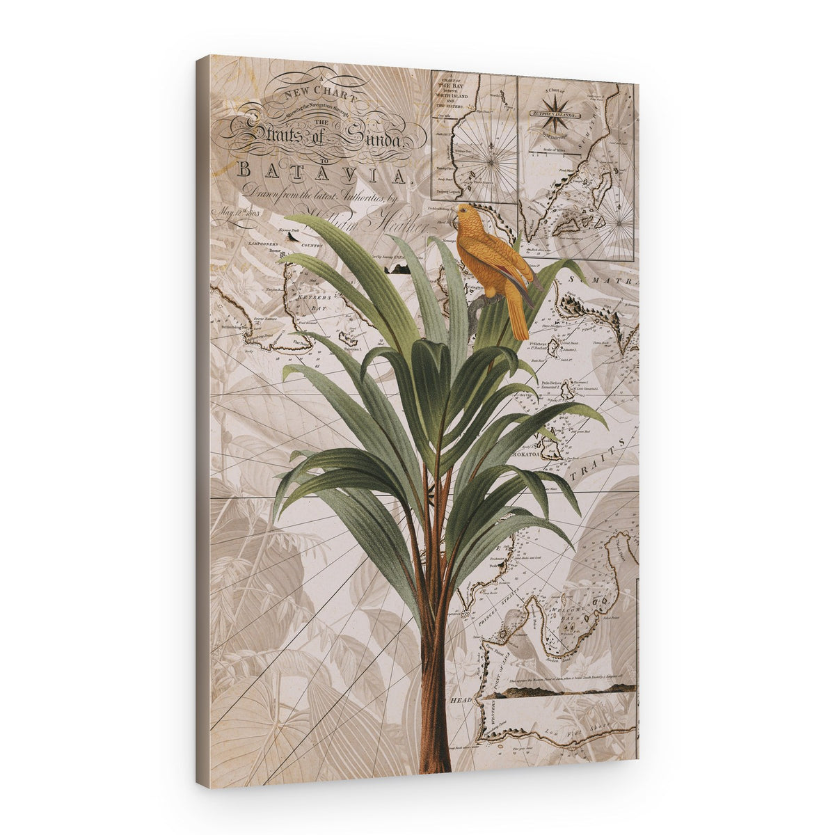 Tropical Map Bird – Canvas Print