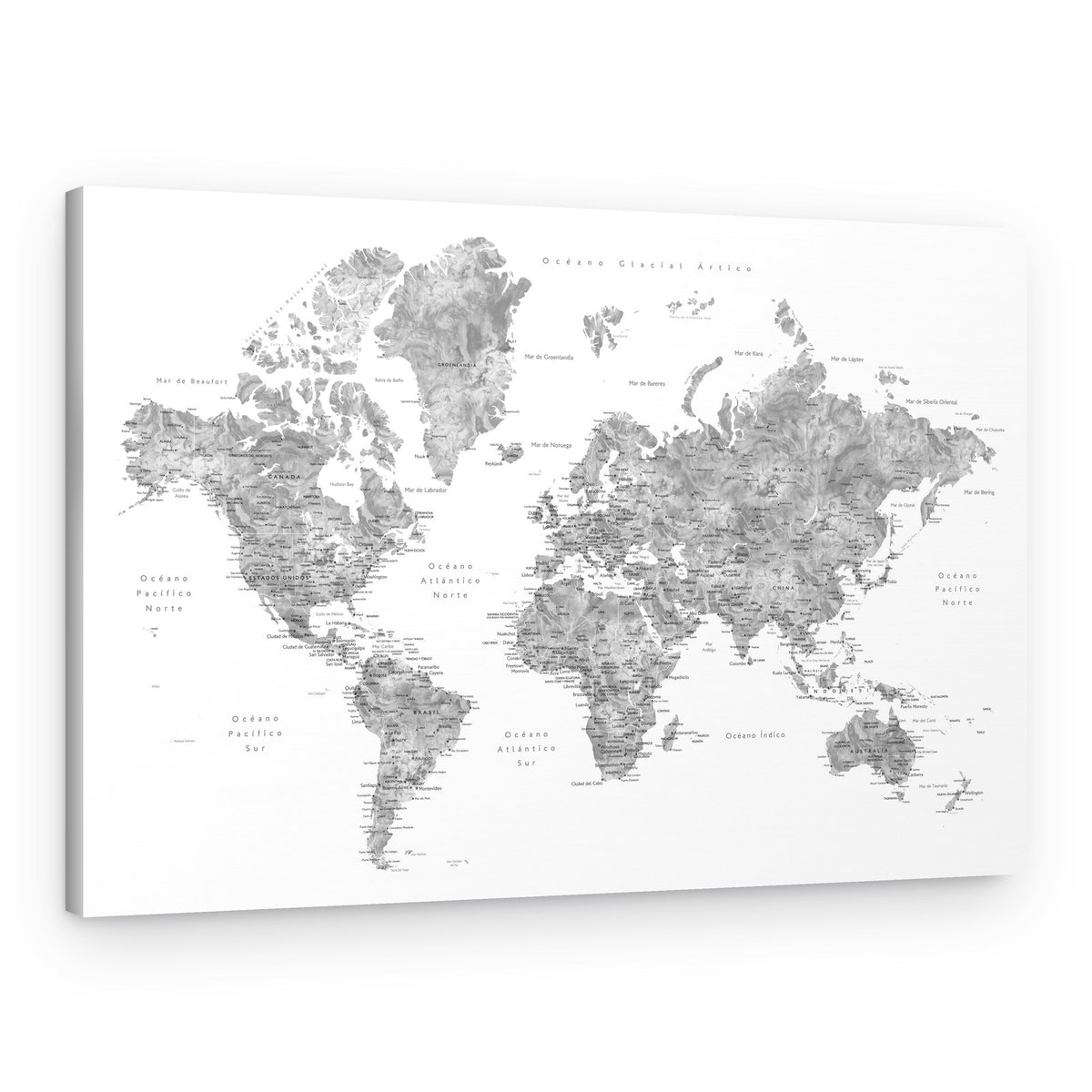Detailed Grayscale World Map – Canvas Print