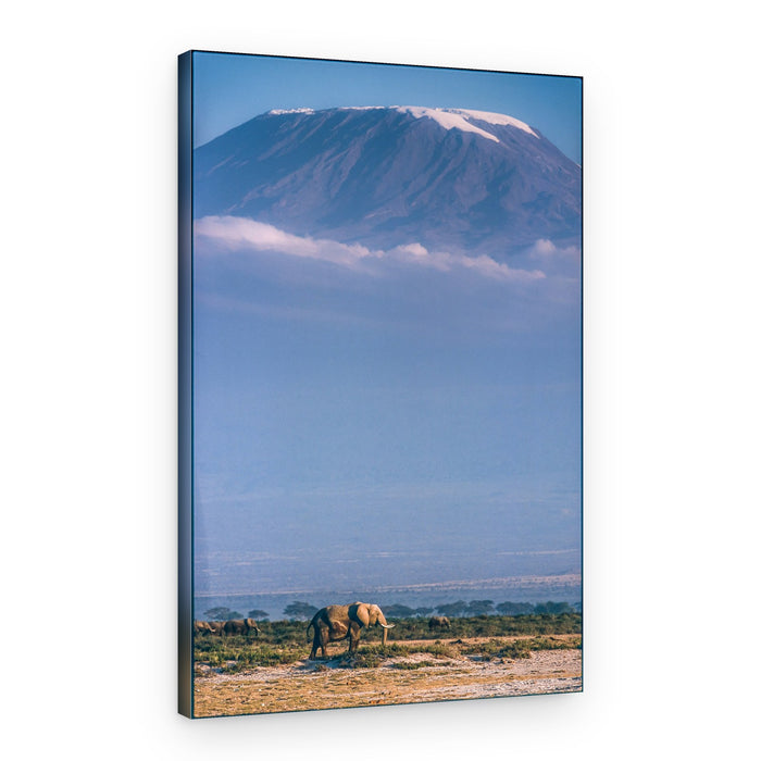 Majestic Kilimanjaro Elephant – Canvas Print