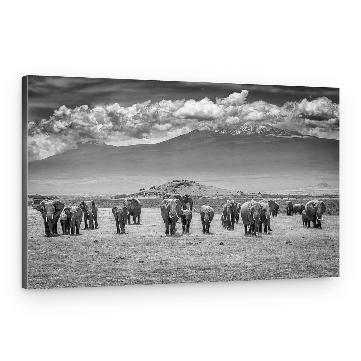 Kilimanjaro Elephant Herd – Canvas Print