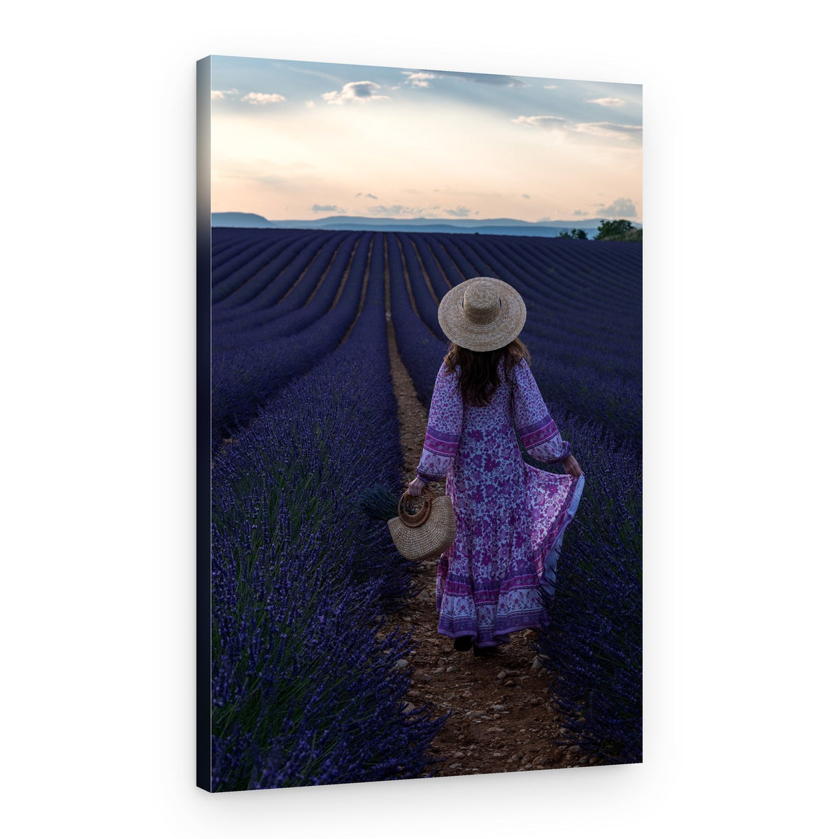 Evening Lavender Stroll – Canvas Print