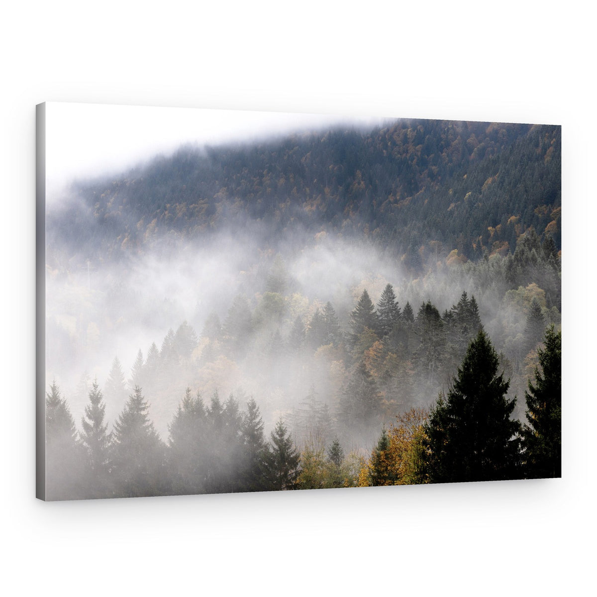 Foggy Woods 9 – Canvas Print