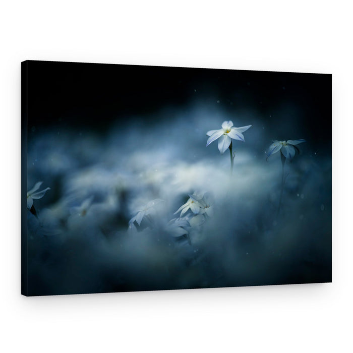 Misty Blue Blooms – Canvas Print