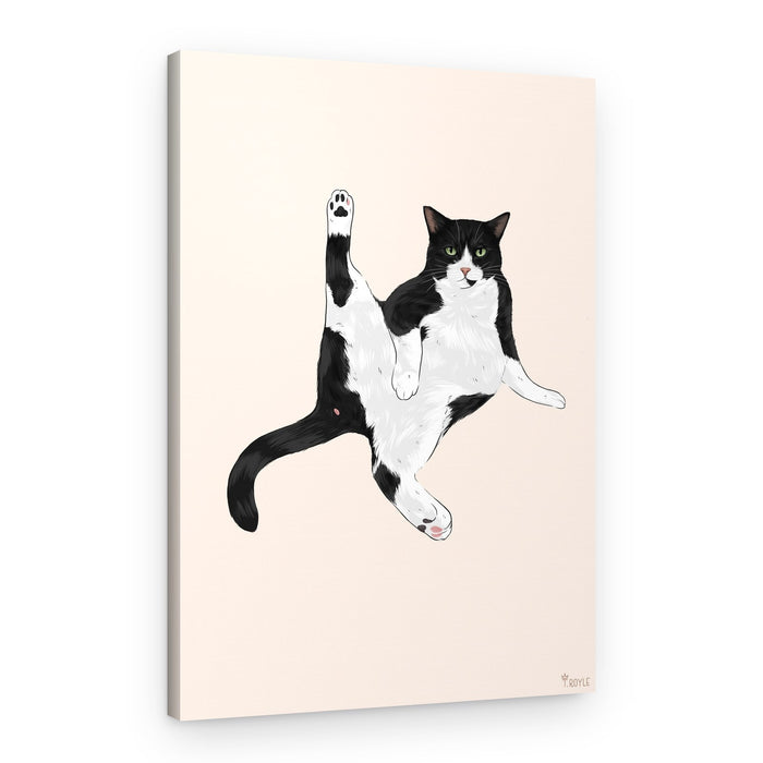 Silly Cat Leg Up – Canvas Print