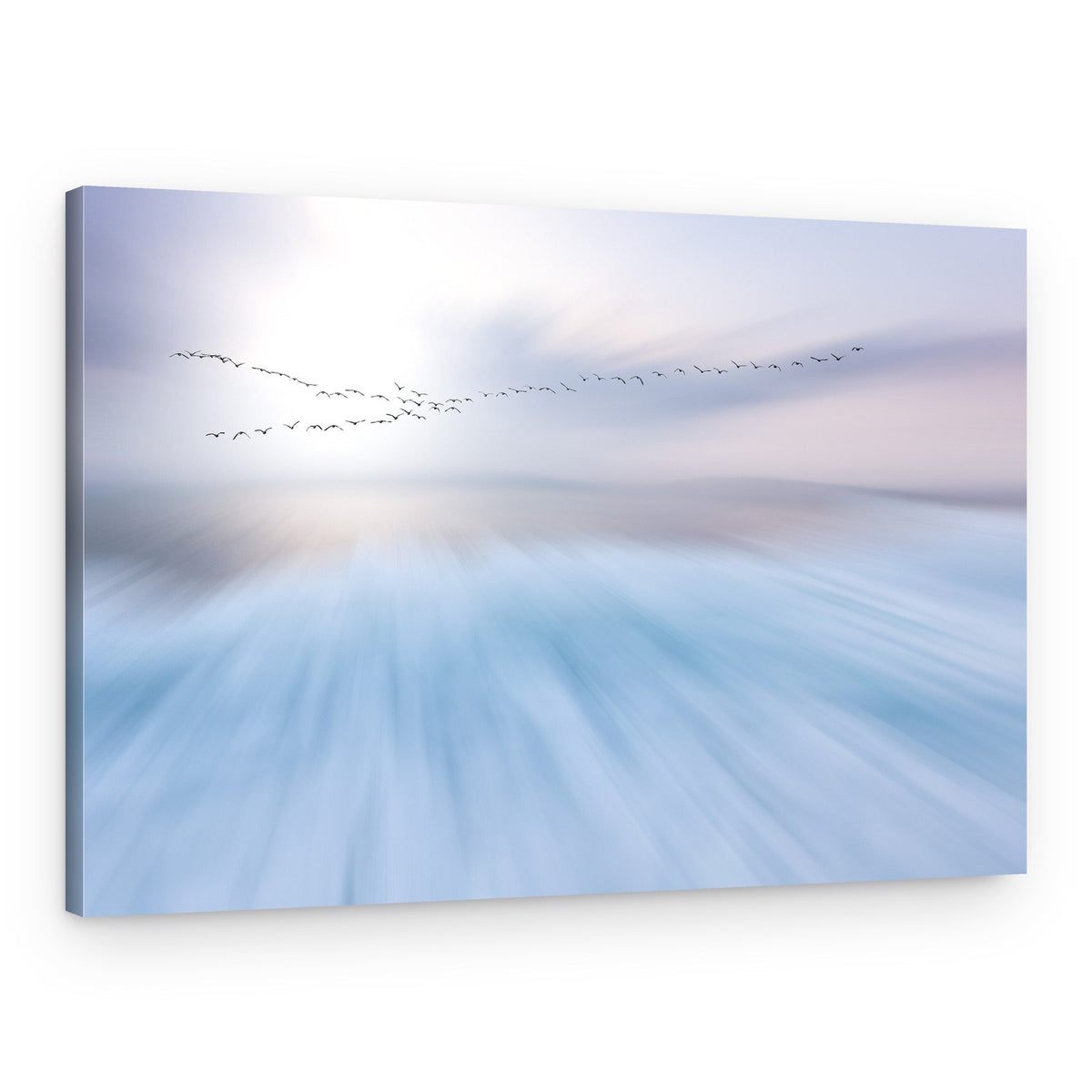 Dynamic Flight Abstract – Canvas Print