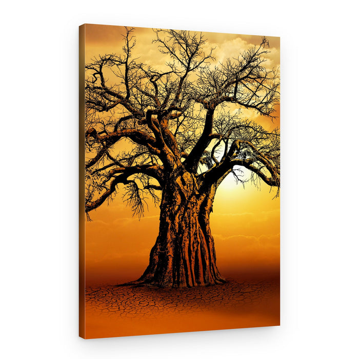 Majestic Baobab Sunset – Canvas Print