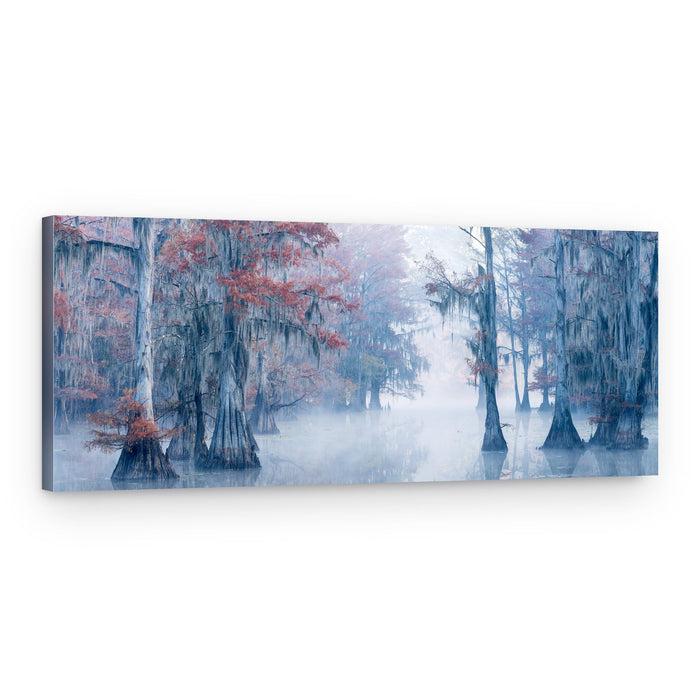Misty Cypress Swamp – Canvas Print