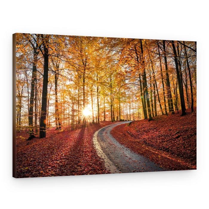 Golden Autumn Forest Road – Canvas Print
