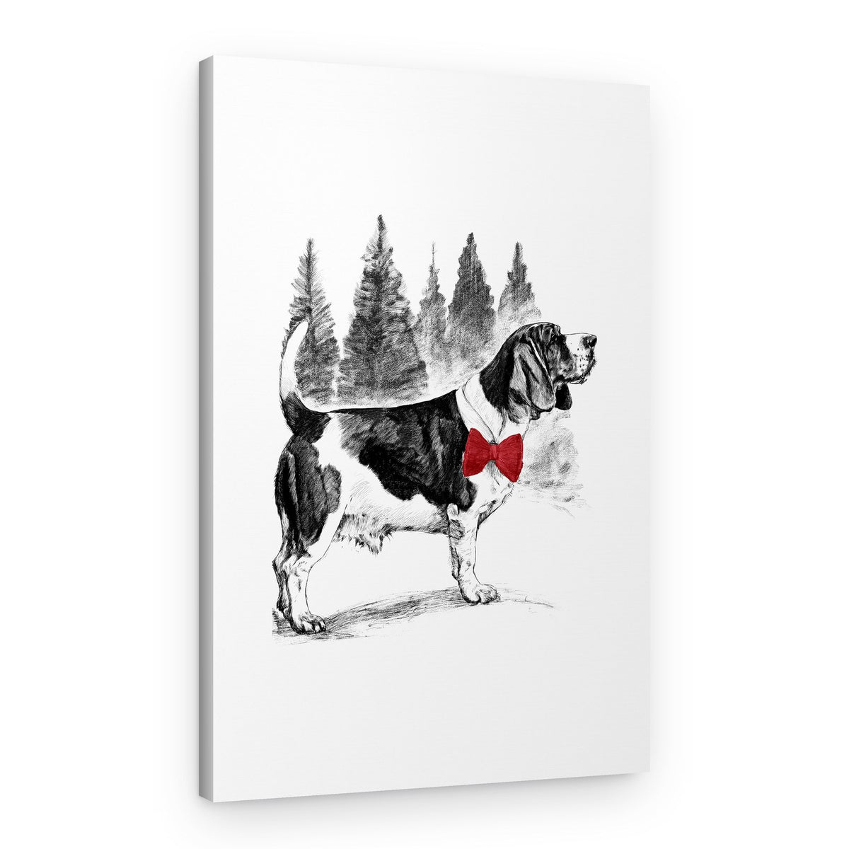 Dapper Basset Hound – Canvas Print
