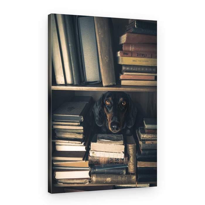 Curious Library Dog – Canvas Print