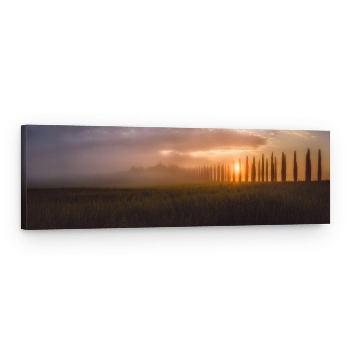 Golden Cypress Mist – Canvas Print