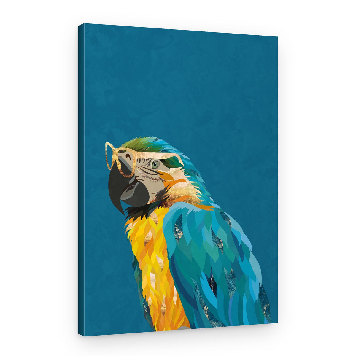 Cool Parrot With Glasses – Canvas Print
