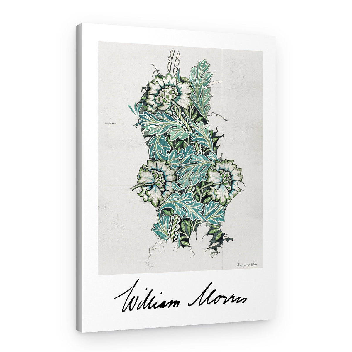 Anemone – Canvas Print