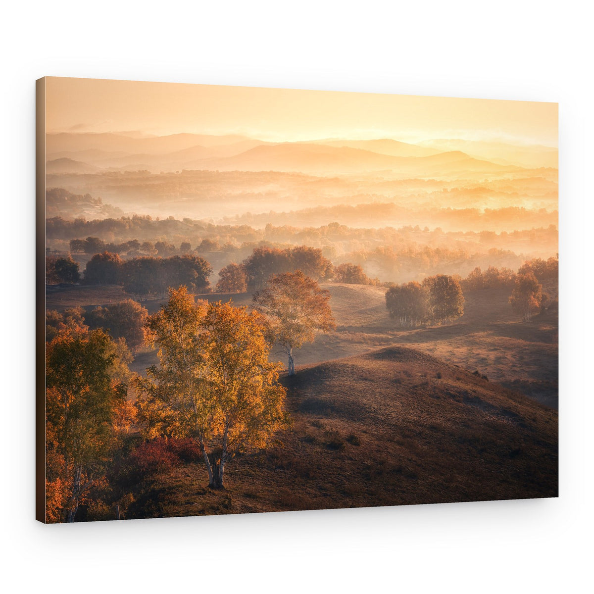 Golden Autumn Mist – Canvas Print