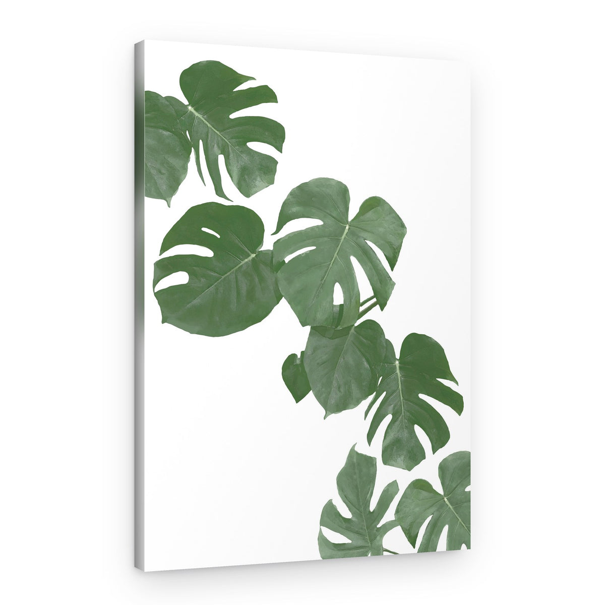 Tropical Monstera Leaves – Canvas Print