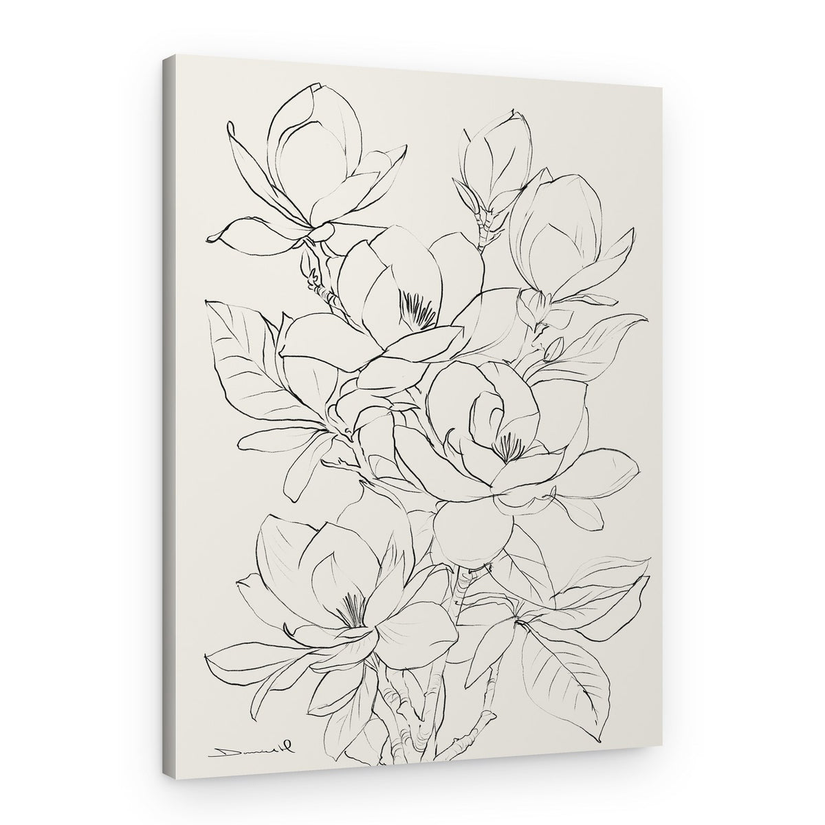 Magnolia Tree – Canvas Print
