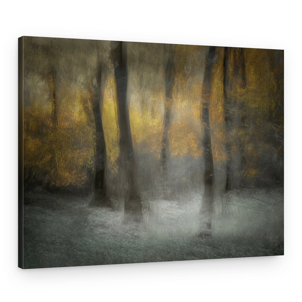 Dancing Trees – Canvas Print