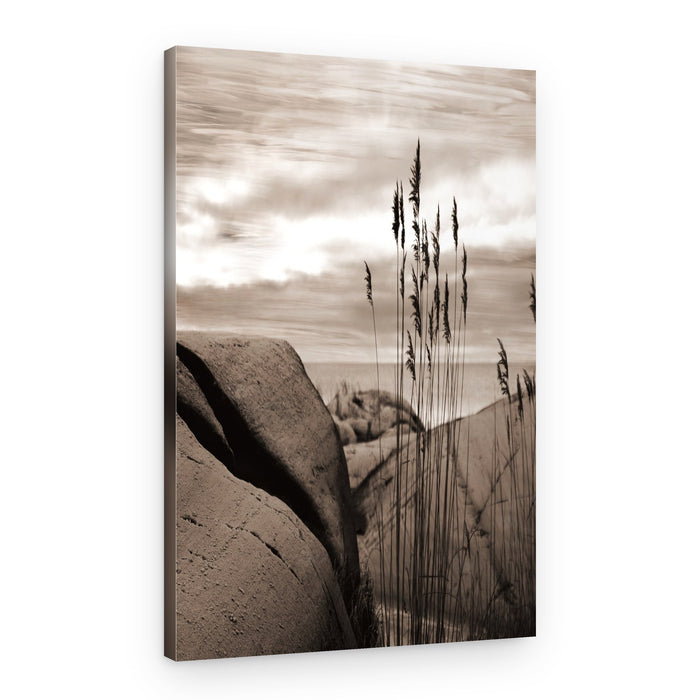 Reeds by the Sea – Canvas Print