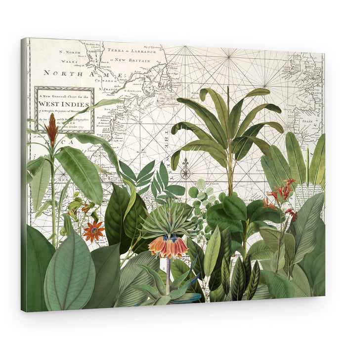 Tropical Map Explorations – Canvas Print