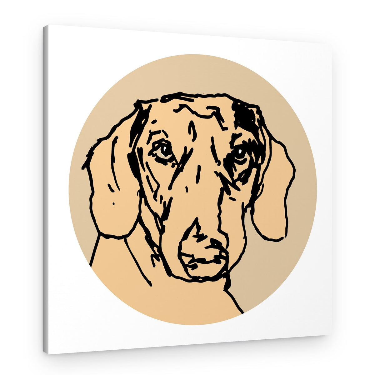 Sweet Dachshund Illustration – Canvas Print