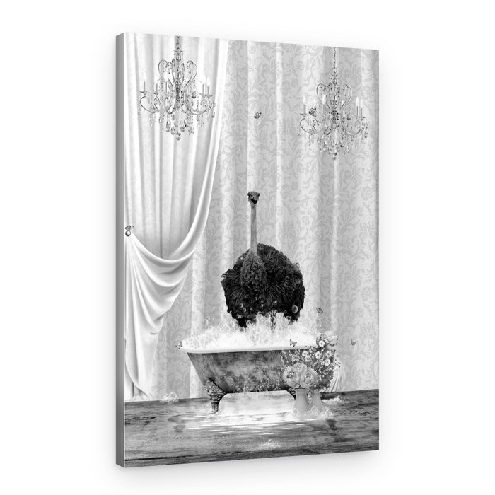 Whimsical Ostrich Bath – Canvas Print