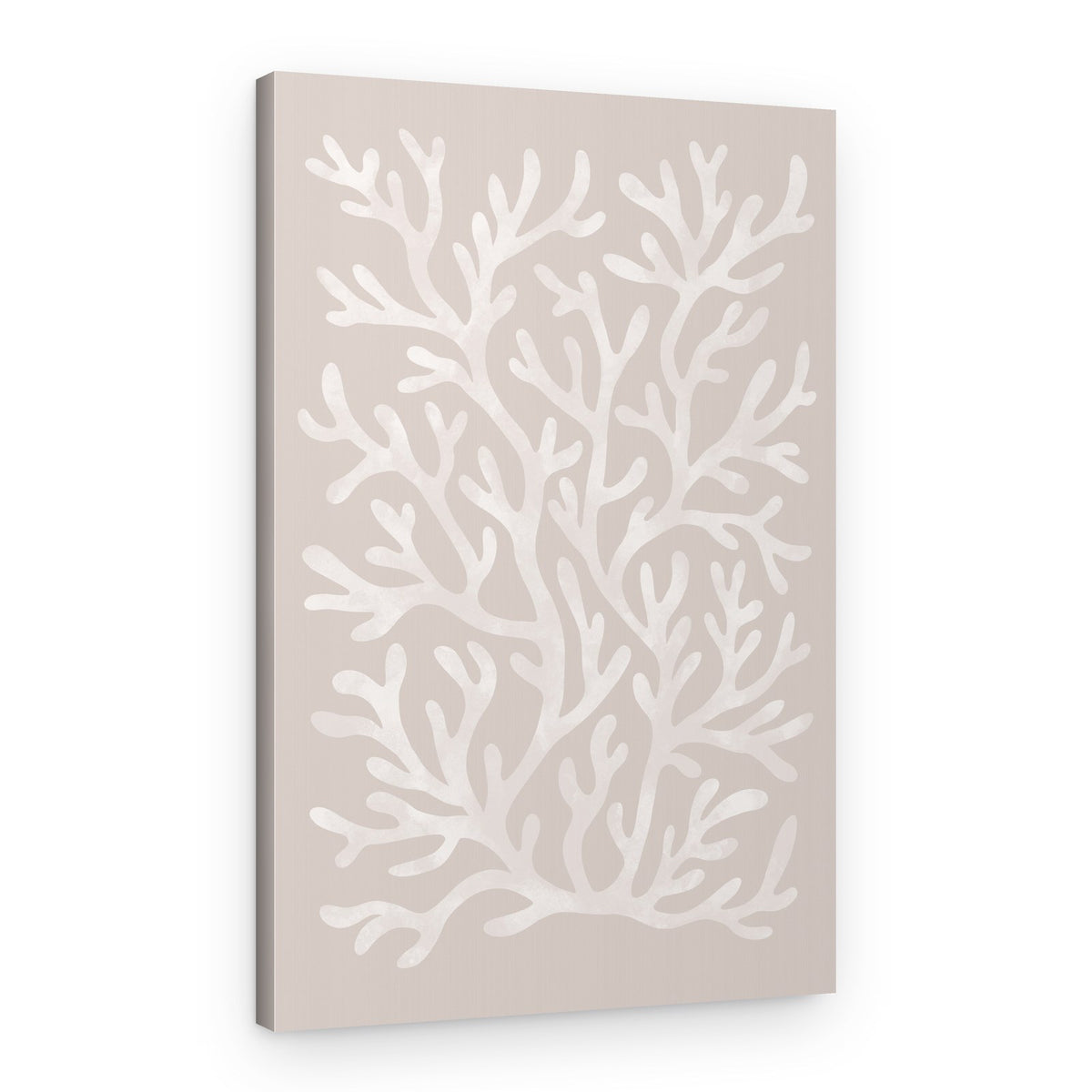 Organic Coral Forms – Canvas Print