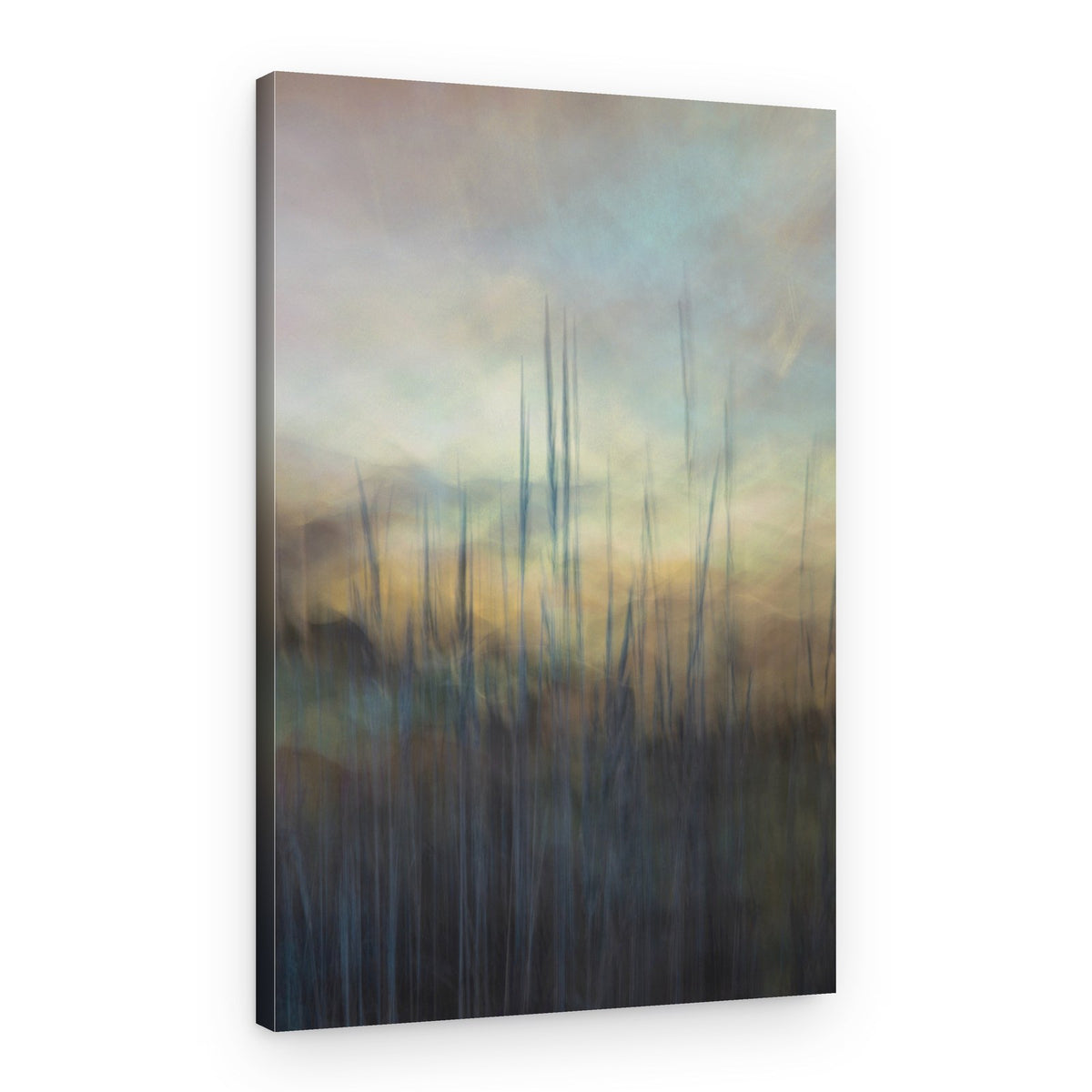 Serene Marsh Reeds – Canvas Print