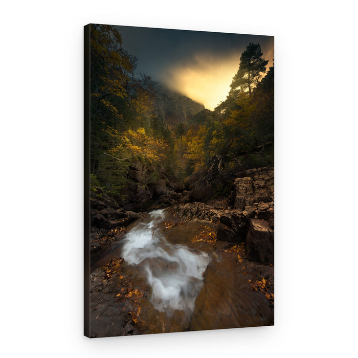Golden Autumn Mountain Stream – Canvas Print