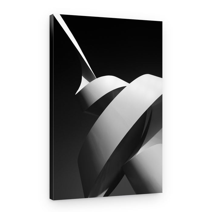 Modern Abstract Curves – Canvas Print
