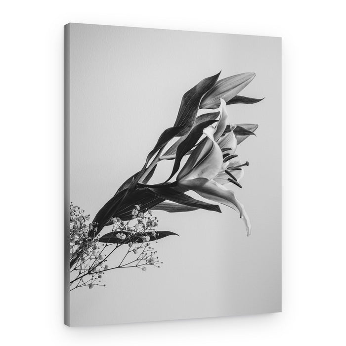 Elegant Lily Bloom – Canvas Print