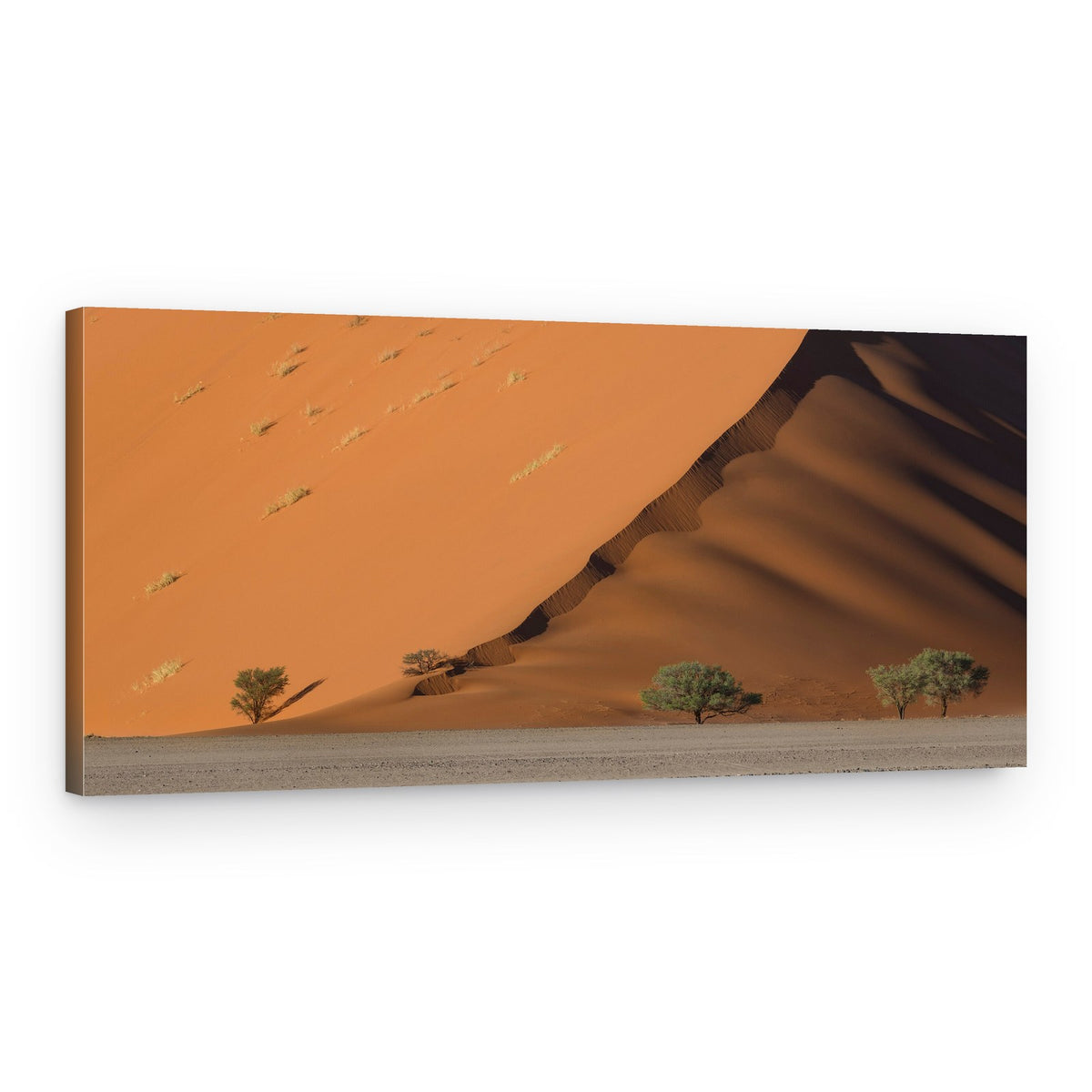 Desert Dune Shadows – Canvas Print
