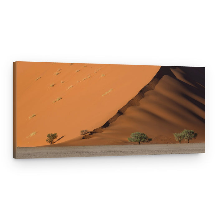 Desert Dune Shadows – Canvas Print